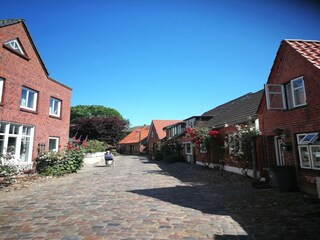 Ferienhaus Burg auf Fehmarn Umgebung 21