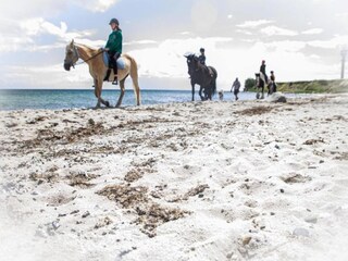 Vakantiehuis Burg auf Fehmarn Omgeving 33
