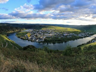 Moselpanorama Piesport - Pin = Lage Ferienhaus