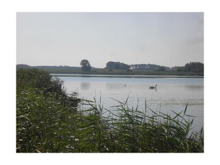 Faszinierende Natur im Nationalpark