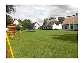 Spielen und Toben