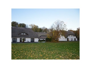 Bild Hecht im Herbst