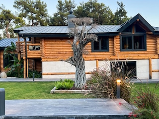 Front yard