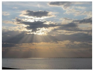 Ferienhaus Stavenisse Umgebung 33