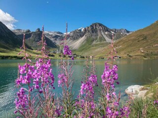 Parque de vacaciones Tignes Entorno 18