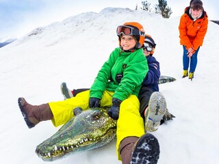 Ferienpark Samoëns Umgebung 23