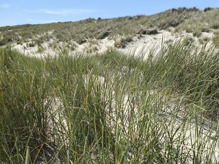 Vakantiehuis Hulsig  4