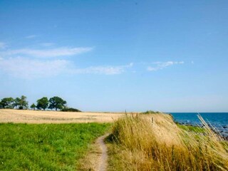 Vakantiehuis Burg auf Fehmarn Omgeving 26