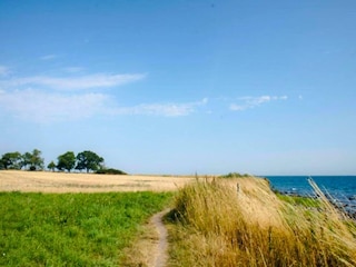 Vakantiehuis Burg auf Fehmarn Omgeving 27
