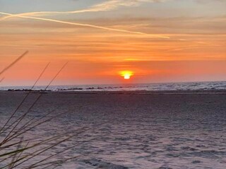 Ferienhaus Burg auf Fehmarn Umgebung 39