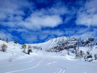 Parc de vacances Isola Environnement 29