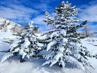 Vakantiepark Isola Omgeving 22