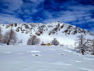Parco vacanze Isola Ambiente 16