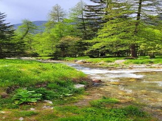 Parc de vacances Isola Environnement 25