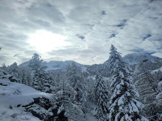 Holiday park Isola Environment 31