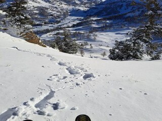 Holiday park Isola Environment 25