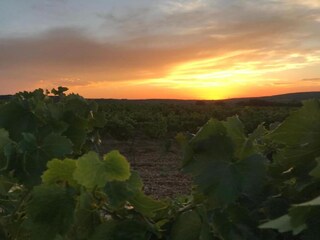 Villa Rochefort-du-Gard Environment 28