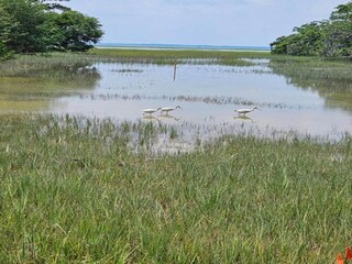 Parc de vacances Arèches-Beaufort Environnement 18