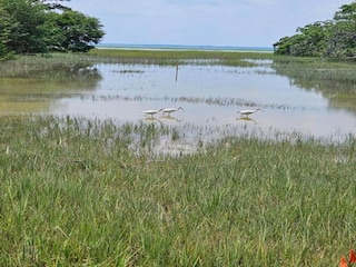 Parc de vacances Arèches-Beaufort Environnement 26