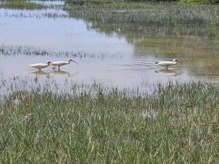 Parc de vacances Arèches-Beaufort Environnement 28