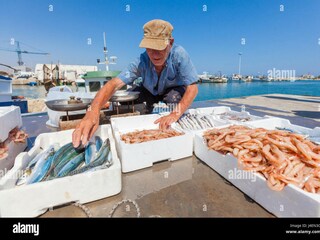 Verkauf von fangfrischem Fisch