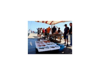 Verkauf von fangfrischem Fisch