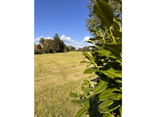 Ausblick auf die Weide und den alten Deich