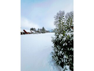 Der Blick zur Weide im Schnee