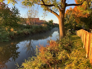 Herbst / Mit neuem Zaun