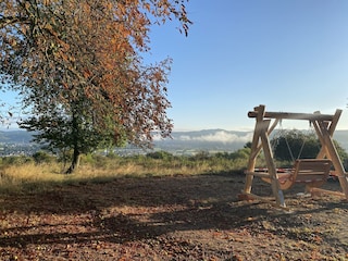 ganz in der Nähe
