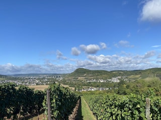 Blick auf das Ahrtal