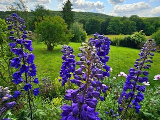 Ferienhaus Bad Münstereifel Außenaufnahme 18