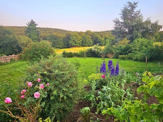 Ferienhaus Bad Münstereifel Außenaufnahme 17
