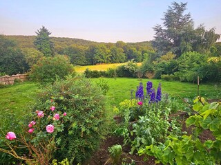 Ferienhaus Bad Münstereifel Außenaufnahme 19