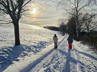 Ferienhaus Bad Münstereifel Umgebung 38
