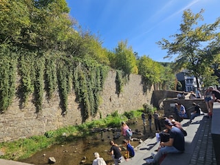 Ferienhaus Bad Münstereifel Umgebung 24
