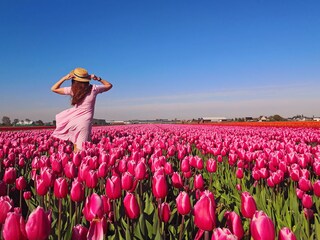 Chalet Noordwijk Environment 24