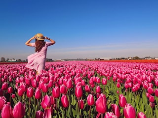 Chalet Noordwijk Umgebung 24