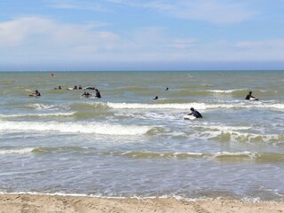 Parc de vacances Westende Environnement 30