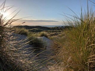 Vakantiepark Westende Omgeving 11