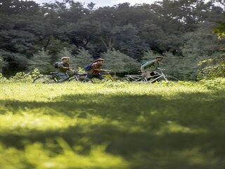 Parco vacanze Jabbeke Ambiente 21