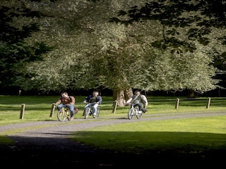 Vakantiepark Jabbeke Omgeving 24