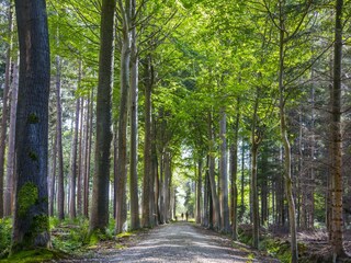 Parc de vacances Jabbeke Environnement 28