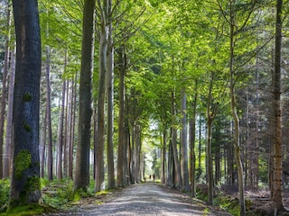 Parco vacanze Jabbeke Ambiente 28