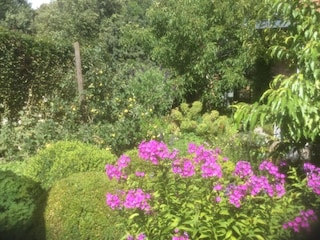 Vakantiepark Jabbeke Omgeving 17