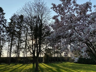 Vakantiepark Jabbeke Omgeving 22