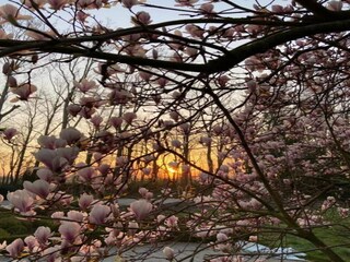 Ferienpark Jabbeke Umgebung 23