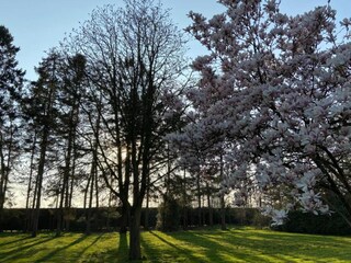 Vakantiepark Jabbeke Omgeving 21