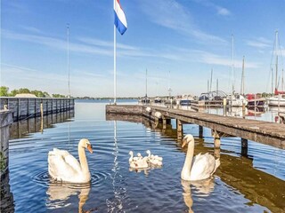 Parc de vacances Loosdrecht Environnement 32