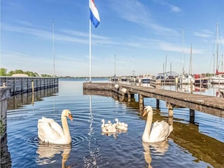 Vakantiepark Loosdrecht Omgeving 27